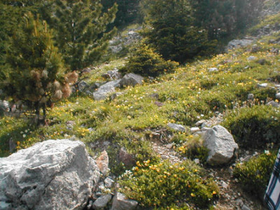 kalkhang.jpg