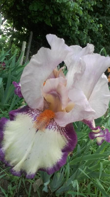 20180518_074209.jpg