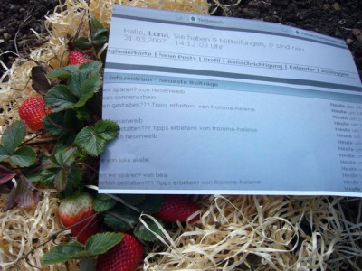 Erdbeeren_31.03.2007.JPG