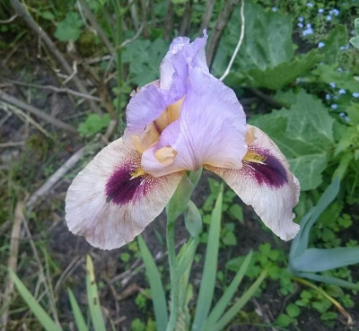 _20180518_220813.JPG
