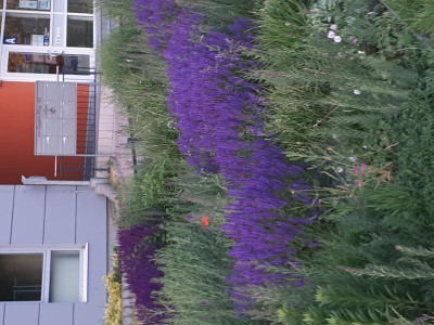 20180517_203653.jpg