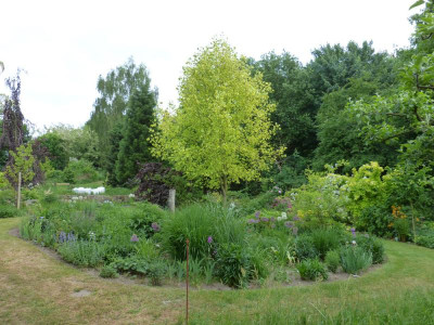 2018-05-18 Garteneinblick 7.jpg