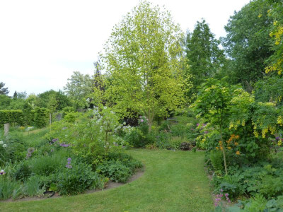 2018-05-18 Garteneinblick 15.jpg