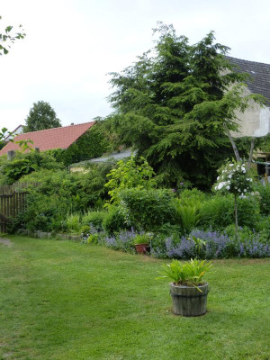 2018-05-18 Garteneinblick 17.jpg