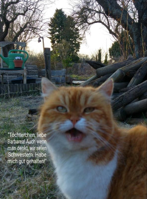 2018-05-19-19-13-12.jpg