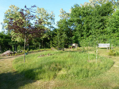 2018-05-19 Birkenhain 8.jpg