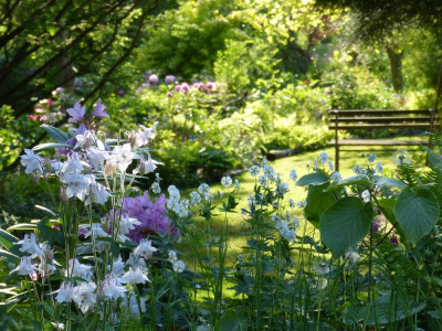 2018-05-19 Gartenimpressionen 1.jpg