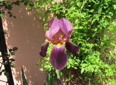 IMG_2924 small.jpg