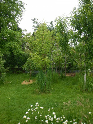 DSCN7101.JPG