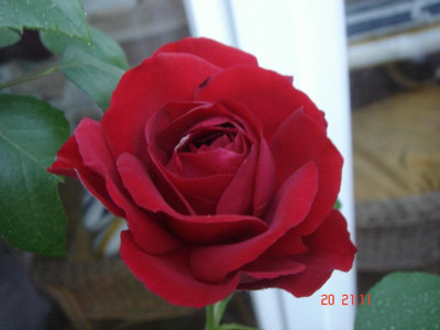 DSC05264.JPG