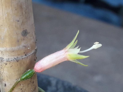20180520_123500.jpg
