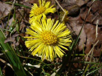 02.04.2007.3.JPG