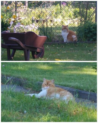 180521_100737_COLLAGE-1.jpg