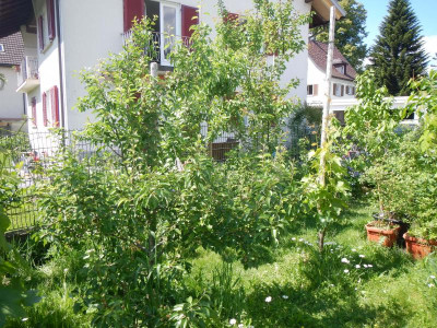 DSCN7121.JPG