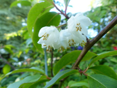 P1020215.JPG