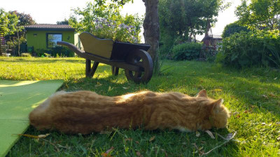 20180521_183336_HDR.jpg