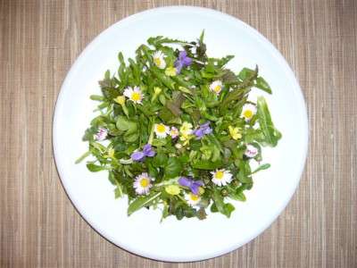 Salat_mit_Wildkrautern.JPG
