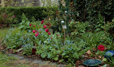 new_Rosenbeetansicht_Fruhjahr07.jpg