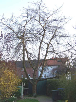 0100_0117.jpg