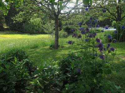 gartenwiese18.img.JPG