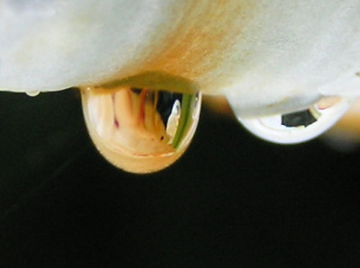 P7250004-B-2.jpg