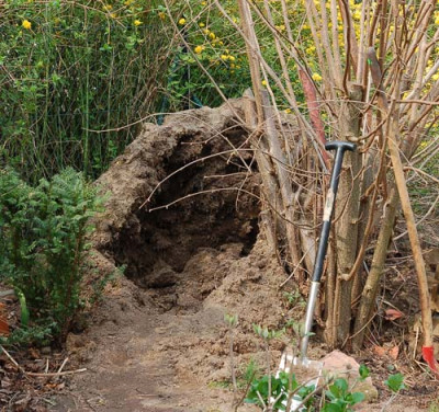 Garteniglu.jpg