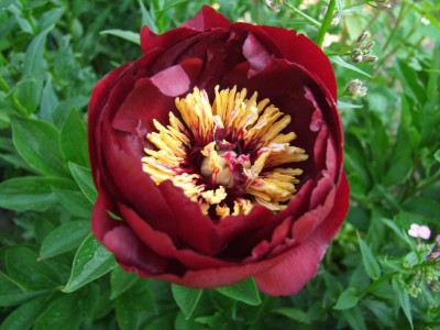 22.05.2018 17-42-40_0500.jpg
