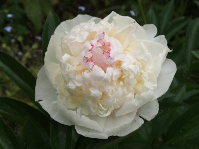 DSCF5286.JPG
