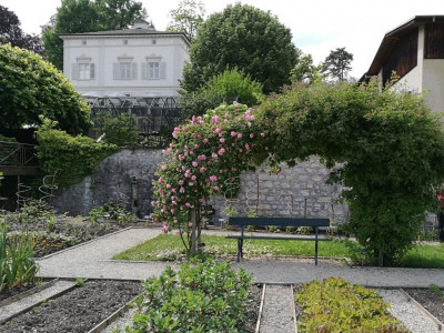 Gemusegarten_20180520_153640k.jpg