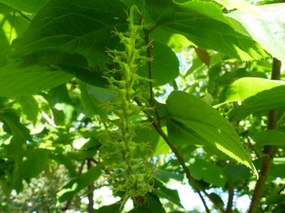 P1020224.JPG