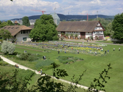 CIMG0551.JPG