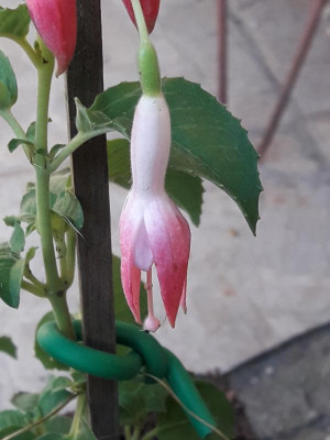 20180522_200751.jpg