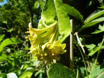 P1020233.JPG