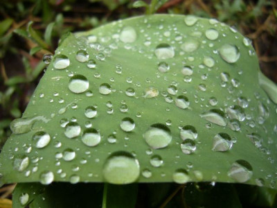 04.04.20075.JPG
