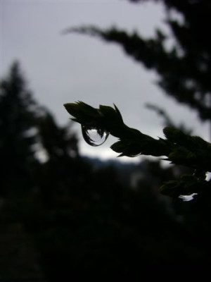 04.04.2007.8.JPG