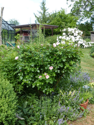 2018-05-24 Rosen 'Utopia' 2.jpg