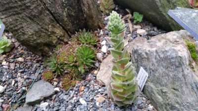 20180524_182848.jpg
