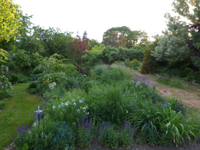 2018-05-24 Garteneinblick 5.jpg