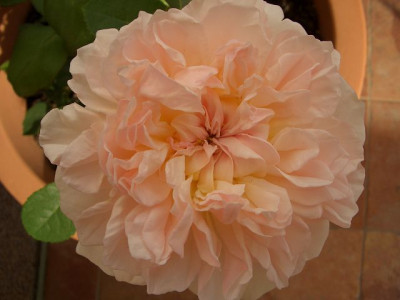 k-CIMG0954.JPG