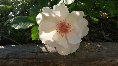 20180522_181043.jpg