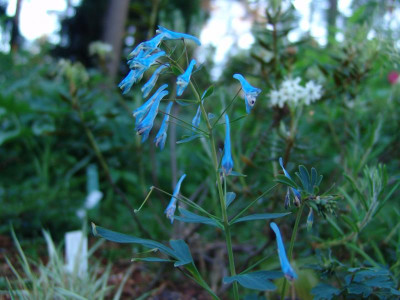 DSC02451.JPG