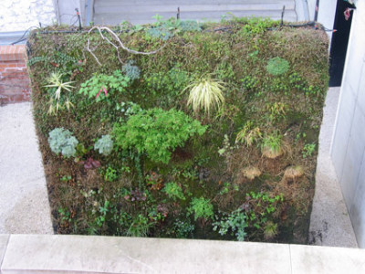 growing_picture_totale_5apr.jpg