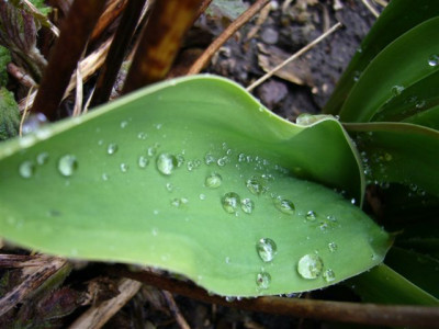 04.04.2007.7.JPG