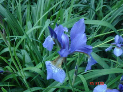 DSC05261.JPG