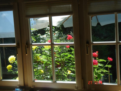 DSC05265.JPG