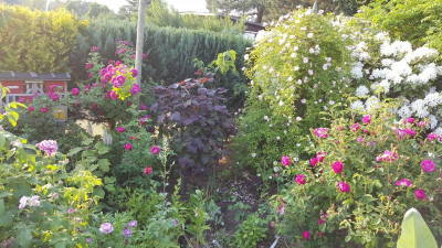 20180527_185011.jpg