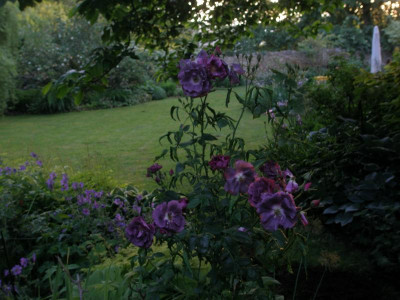 P5240098.JPG