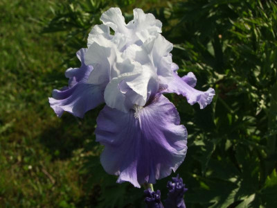 27.05.2018 17-57-36_1410.jpg