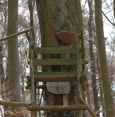 Hochsitz-fuer-Zwei.jpg