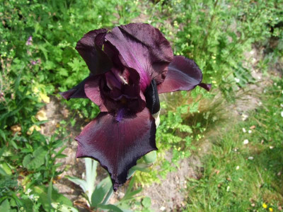27.05.2018 14-40-33_1115.jpg